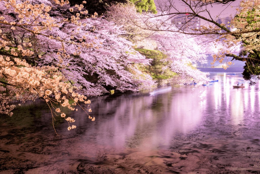 💧 대자 맑은 물 (다이지시미즈) 이미지 7